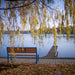 Gewerbefabrik Sitzbank Arnsberg Outdoor Bank Parkbank Holz Blau RAL 5005 Park