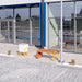 Gewerbefabrik Sitzbank Herrnhut Outdoor Bank Parkbank Holz Gelb RAL 1028 Stadt
